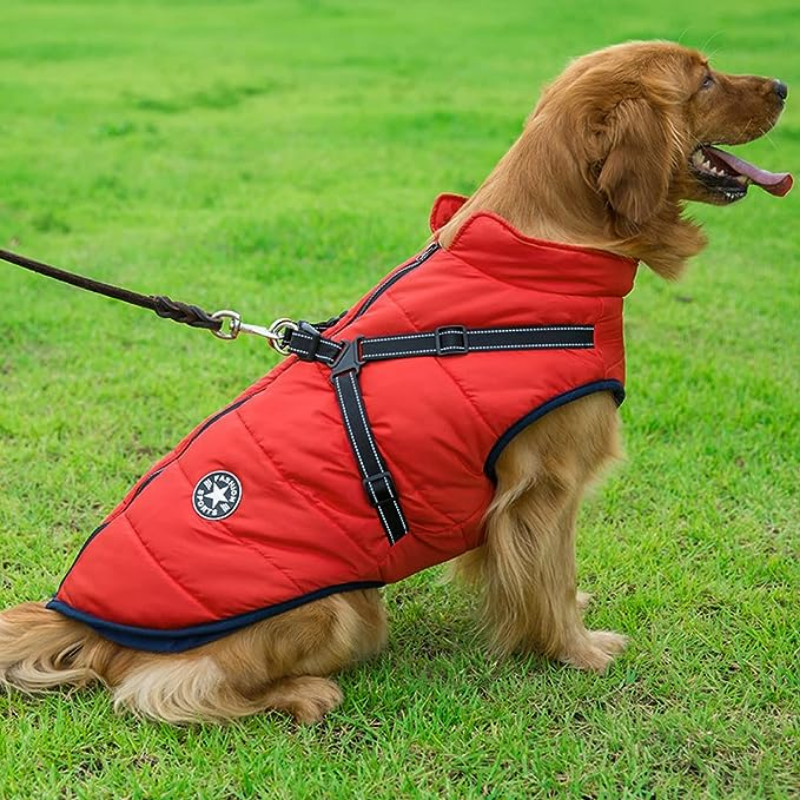 VESTE DE CHIEN SOMPTUEUSE